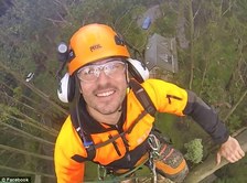 Dave's Tree Service of Michigan logo