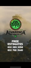 Avatar for Alvarenga Tree Service LLC