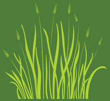 Green Habitats logo