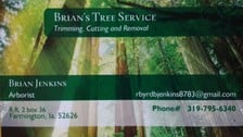 Avatar for Brian's Tree Service