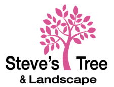 Steve's Tree & Landscape Corporation logo
