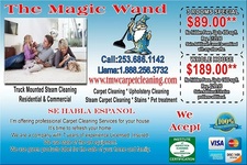 The Magic Wand Carpet Cleaning logo