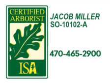 CR Tree Expert logo