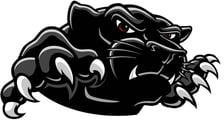 Avatar for Panther Pond Meadows Handyman Service