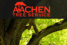 Avatar for A Aachen Tree Service