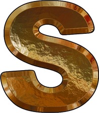 Logo for Spacesavers Junk Removal