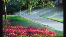 Acacia Irrigation logo