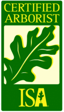 Avatar for Redwine's Cleaning Service, LLC - Home  Facebook