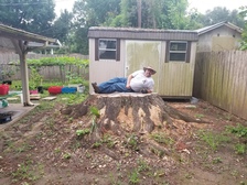 Logo for Futrell Stump Grinding
