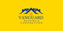 Vanguard Mitigation And Restoration, LLC logo