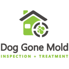 Dog Gone Mold Springfield, Inc. logo