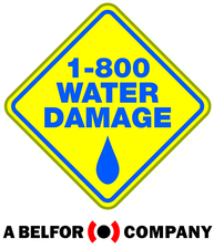 Avatar for 1-800 Water Damage of Oklahoma City