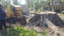 Logo for Merino Stump Grinding