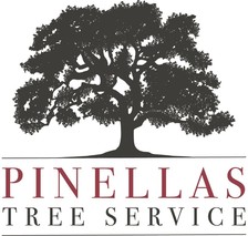 Pinellas Tree Service logo