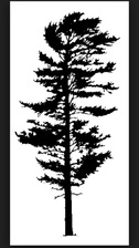 Logo for Arbor Tech