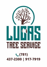 Lucas Tree Service logo