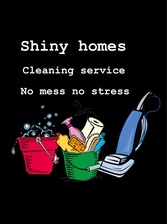 Shiny Home logo