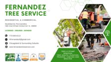 Avatar for Fernandez Tree Service, Inc.