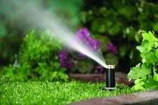 Avatar for Speedy Lawn Service, LLC