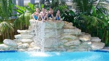Dolphin Pools & Spas, Inc. logo