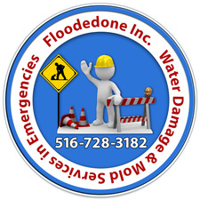 Avatar for Floodedone, Inc.