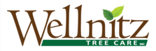 Wellnitz Tree Care logo