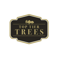 Top Tier Trees, LLC logo