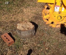 Texas Stump Cutters logo