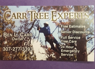Carr Tree Experts logo