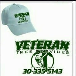 Veteran Tree Services logo