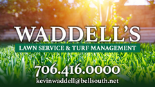 Avatar for Waddell Lawn Services & Turf Management
