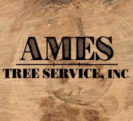 Ames Tree Service, Inc. logo