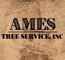 Avatar for Ames Tree Service, Inc.
