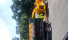 Logo for Gagnon Tree Service