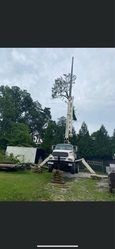 Paul Bunyan Tree Service logo