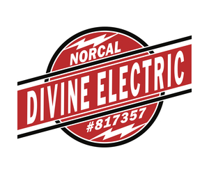 Divine Electric, Inc. logo