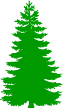 City Tree Management, Inc. logo