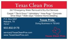 Avatar for Texas Clean Pros