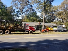 Logo for Four Seasons Tree Service - Home Facebook