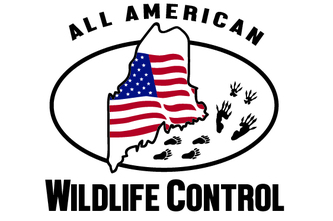 All American Wildlife Control logo