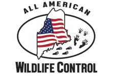 Avatar for All American Wildlife Control