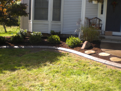 Transitional Landscape with stamped concrete border