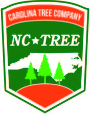 NC Tree Company logo