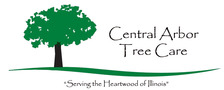 Logo for Central Arbor Tree Care