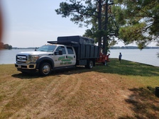 Green acres tree and landscaping service logo