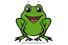 Dulce's Cleaning Service logo