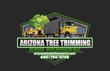 Avatar for Arizona Tree Trimming and Removal