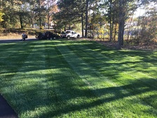 A&F Lawn Care, LLC logo