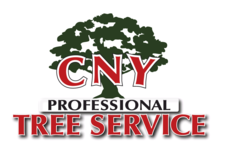 CNY Professional Tree Service, LLC logo