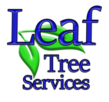 Avatar for LEAF TREE SERVICES, LLC